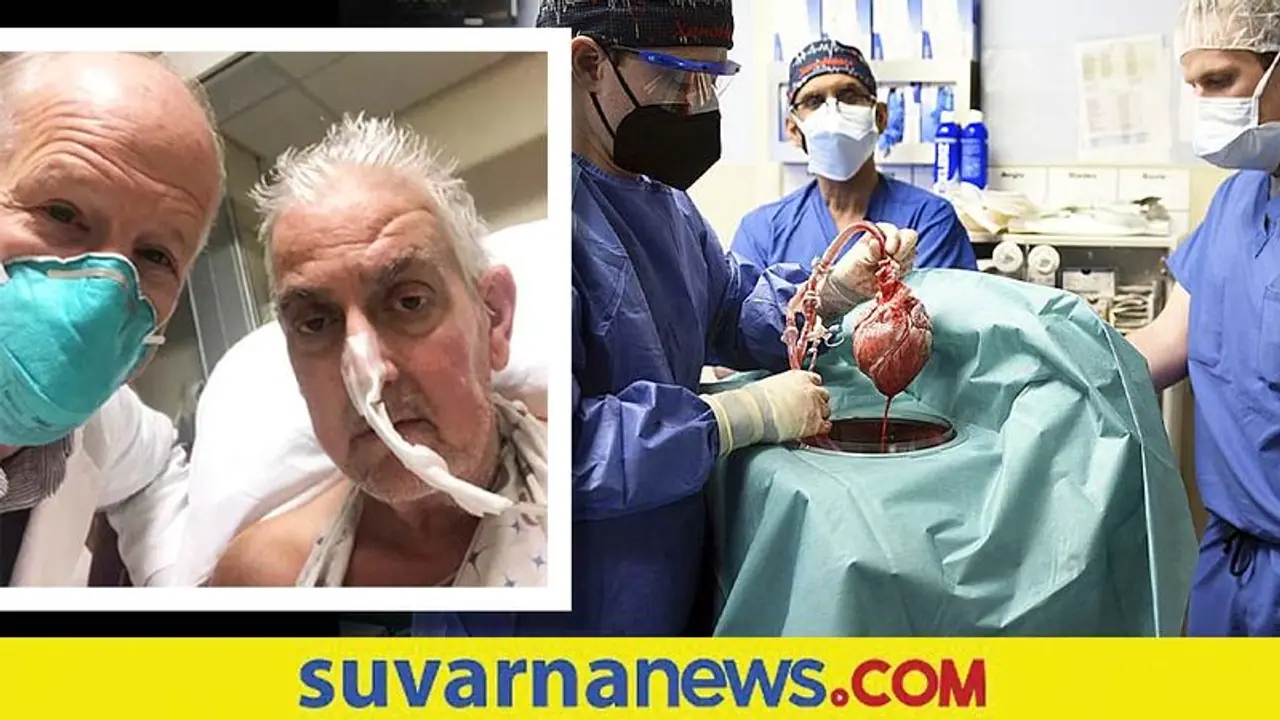 Pig Heart Implant: ಇದೇ ಮೊದಲ ಬಾರಿಗೆ ಮನುಷ್ಯನಿಗೆ ಹಂದಿ ಹೃದಯ ಕಸಿ: ಅಮೆರಿಕಾ ವೈದ್ಯರ ಐತಿಹಾಸಿಕ ಸಾಧನೆ!