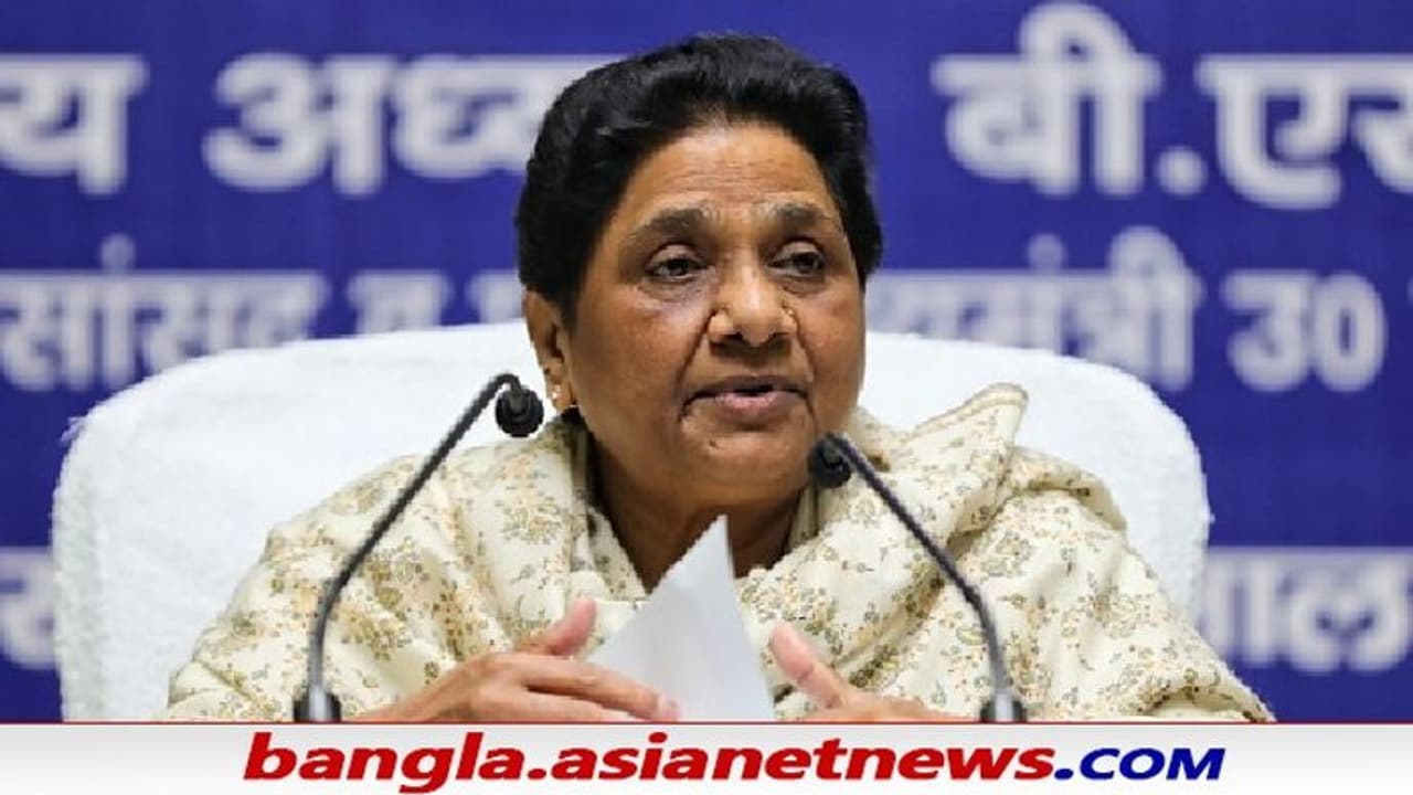 UP Elections 2022: বিধানসভা নির্বাচনের ময়দানে নেই মায়াবতী, বড় ঘোষণা বিএসপির UP Elections 2022: বিধানসভা নির্বাচনের ময়দানে নেই মায়াবতী, বড় ঘোষণা বিএসপির