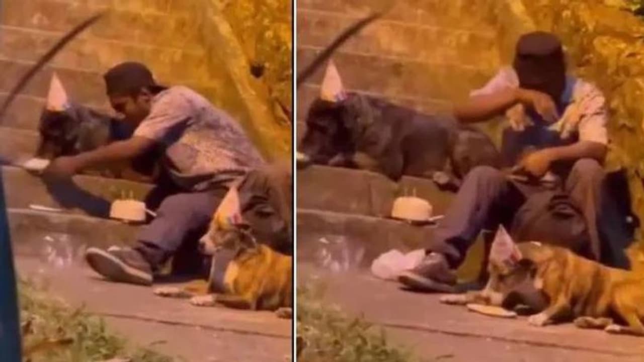 Homeless man celebrates dogs birthday : നായകളുടെ ജന്മദിനമാഘോഷിച്ച് തെരുവിൽ കഴിയുന്നൊരാൾ, കണ്ണുനനയിക്കും വീഡിയോ Homeless man celebrates dogs birthday : നായകളുടെ ജന്മദിനമാഘോഷിച്ച് തെരുവിൽ കഴിയുന്നൊരാൾ, കണ്ണുനനയിക്കും വീഡിയോ