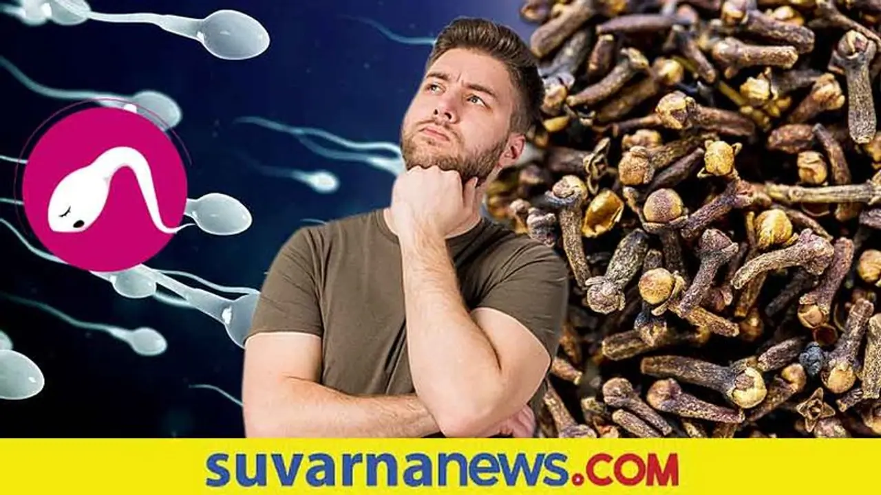 ಪ್ರತಿ ದಿನವೂ ವೀರ್ಯ ಹೊರಹಾಕುವುದು ಆರೋಗ್ಯಕ್ಕೆ ಎಷ್ಟು ಒಳಿತು?