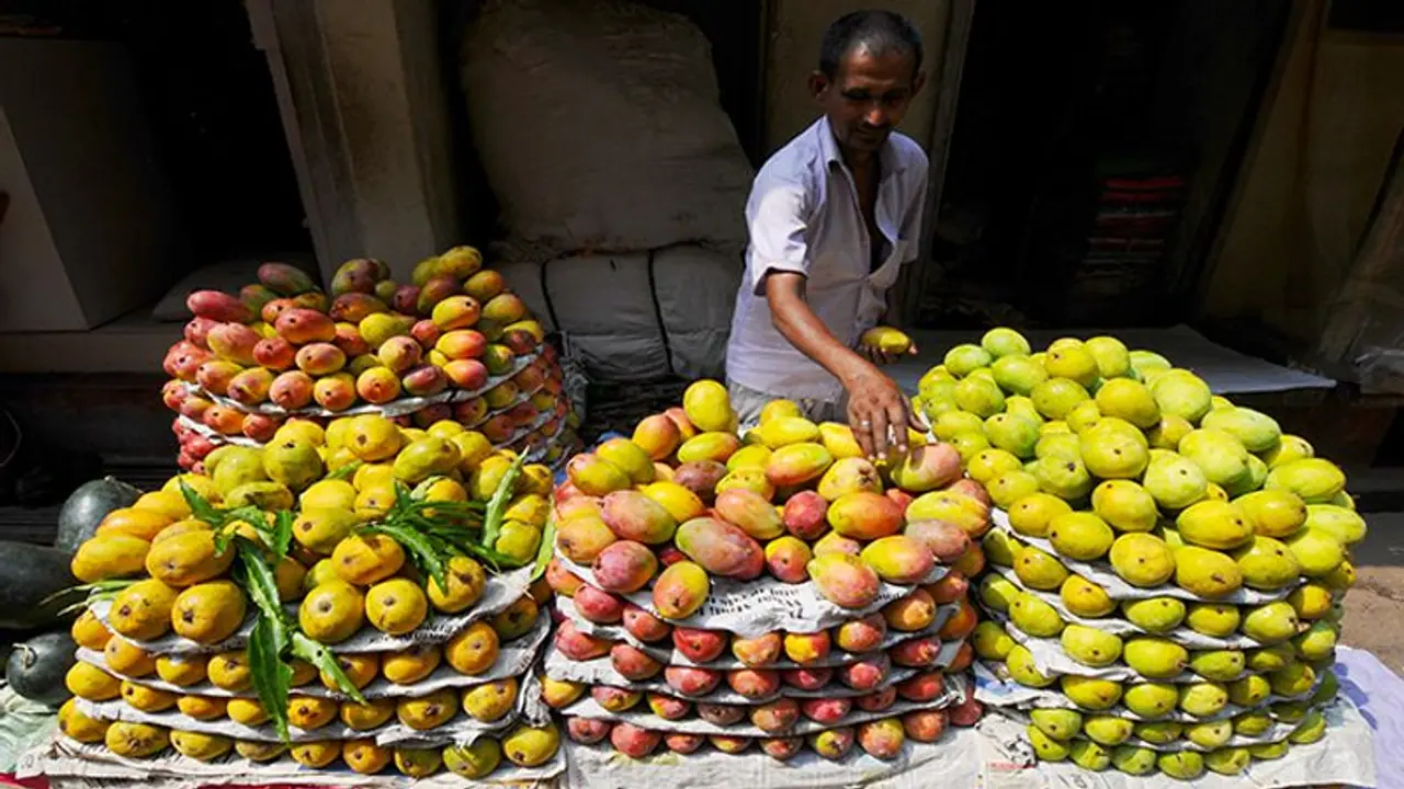 Indian mango export to US to resume; India to import cherries and Alfalfa hay Indian mango export to US to resume; India to import cherries and Alfalfa hay