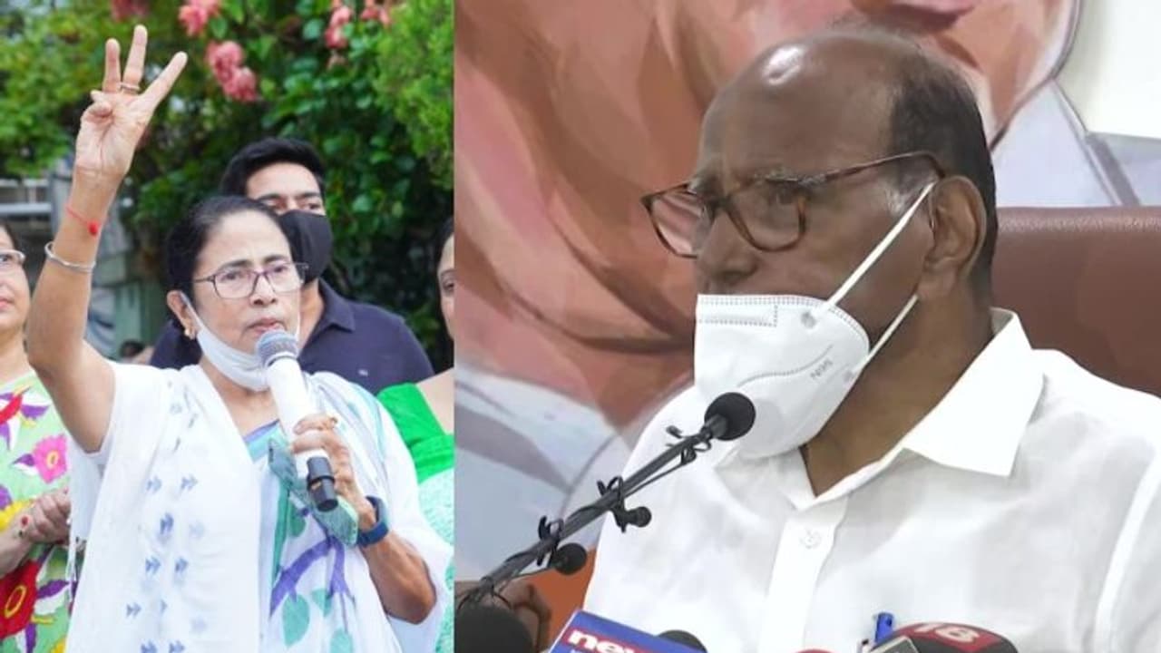 Goa Election 2022: গোয়া নিয়ে শরদ পাওয়ারের মন্তব্য, কংগ্রেস তৃণমূল জোট নিয়ে জল্পনা