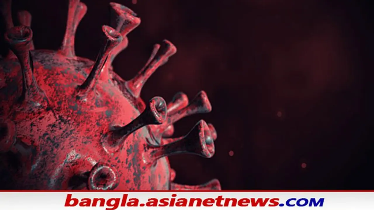 Omicron in India : দ্রুত রূপ বদলাচ্ছে ছদ্মবেশী ওমিক্রন, নয়া তিন উপসর্গের বিষয়ে সতর্ক হন এখনই Omicron in India : দ্রুত রূপ বদলাচ্ছে ছদ্মবেশী ওমিক্রন, নয়া তিন উপসর্গের বিষয়ে সতর্ক হন এখনই