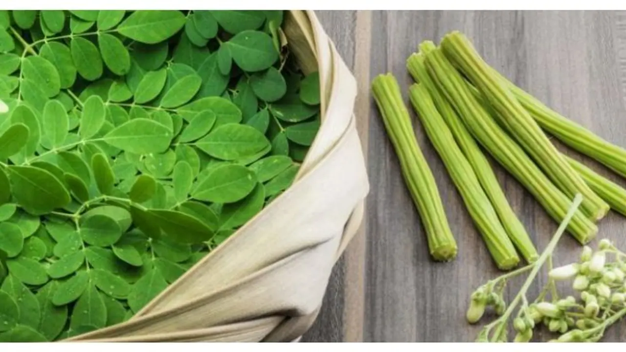 सहजन सहजन