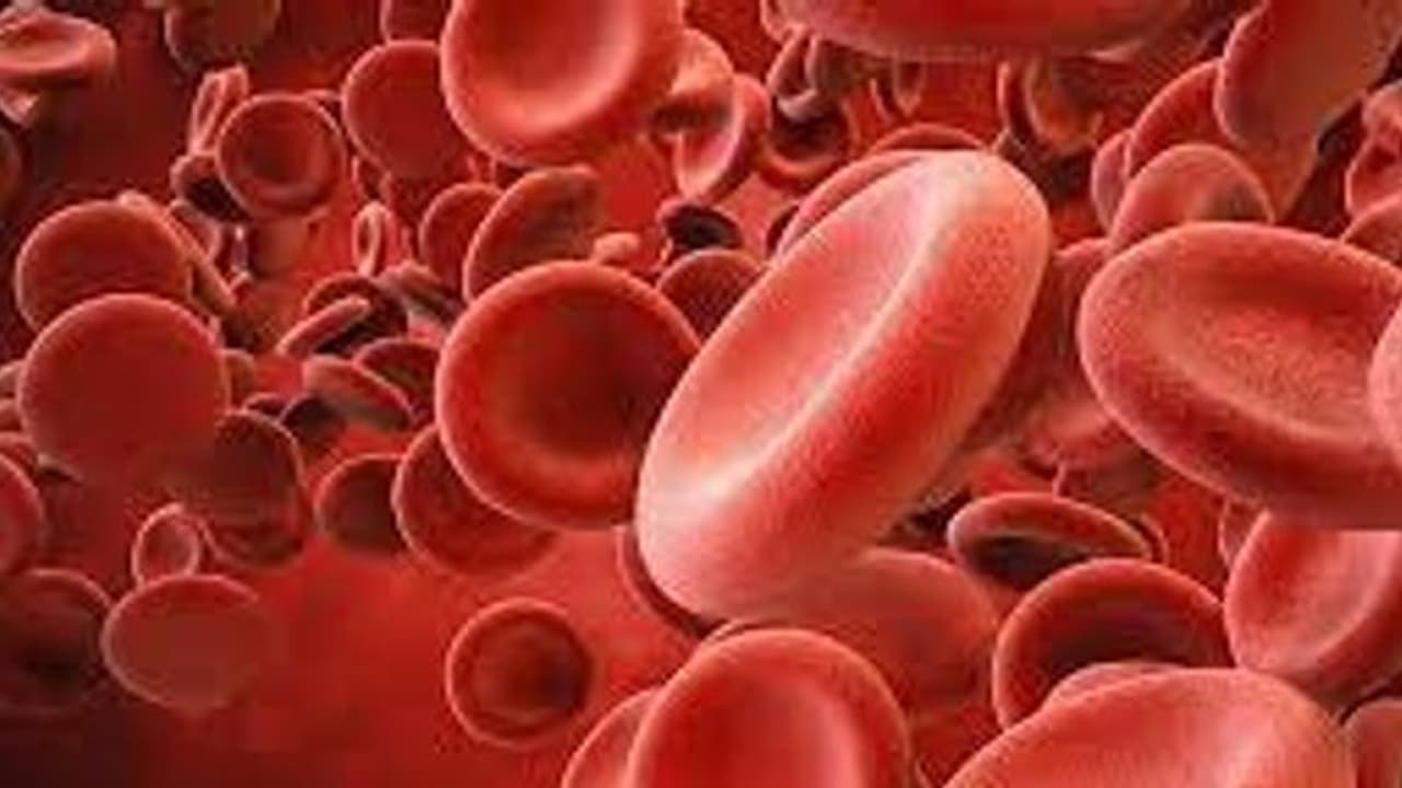 Know how you can naturally increase your haemoglobin levels at home; read what expert says