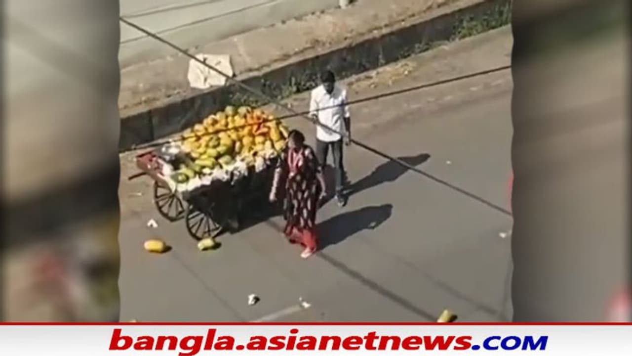 দামি গাড়িতে ধাক্কার ‘শাস্তি’, রাস্তার ফল বিক্রেতাকে চরম শাস্তি দিলেন অধ্যাপিকা, Viral ভিডিও দামি গাড়িতে ধাক্কার ‘শাস্তি’, রাস্তার ফল বিক্রেতাকে চরম শাস্তি দিলেন অধ্যাপিকা, Viral ভিডিও