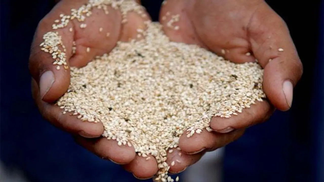 Makar Sankranti 2022: मकर संक्रांति पर राशि अनुसार दान करें ये चीजें और रखें इन बातों का ध्यान, मिलेंगे शुभ फल Makar Sankranti 2022: मकर संक्रांति पर राशि अनुसार दान करें ये चीजें और रखें इन बातों का ध्यान, मिलेंगे शुभ फल