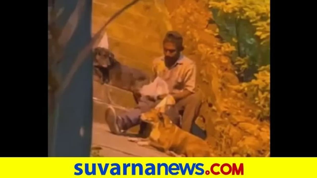 ಶ್ವಾನಗಳೊಂದಿಗೆ ಹುಟ್ಟುಹಬ್ಬ ಆಚರಿಸಿಕೊಂಡ ಮನೆ ಇಲ್ಲದ ನಿರ್ಗತಿಕ... ಭಾವುಕ ವಿಡಿಯೋ ವೈರಲ್‌