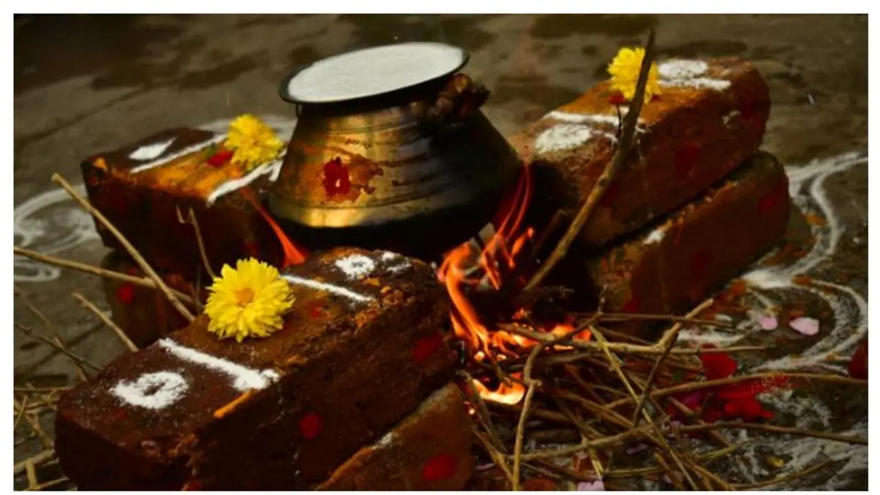 Pongal Special : பொங்கலோ பொங்கல்...தித்திக்கும் தை திருநாளின் வரலாறு தெரிந்து கொள்ள விருப்பமா? Pongal Special : பொங்கலோ பொங்கல்...தித்திக்கும் தை திருநாளின் வரலாறு தெரிந்து கொள்ள விருப்பமா?