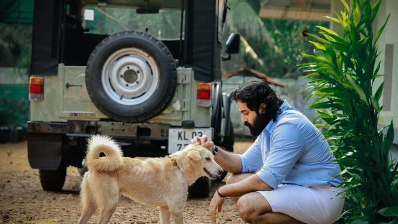 Meppadiyan : മേപ്പടിയാൻ നാളെ തിയറ്ററുകളിൽ ; ചിത്രം കാണുന്നവർക്ക് സമ്മാനപദ്ധതിയുമായി ഉണ്ണി മുകുന്ദൻ Meppadiyan : മേപ്പടിയാൻ നാളെ തിയറ്ററുകളിൽ ; ചിത്രം കാണുന്നവർക്ക് സമ്മാനപദ്ധതിയുമായി ഉണ്ണി മുകുന്ദൻ