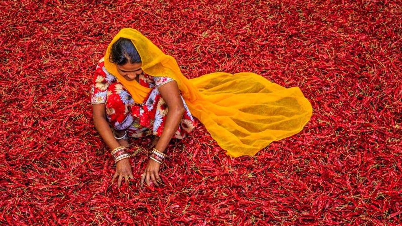 ഒരു ഗ്രാമത്തിലെ മുഴുവന് സ്ത്രീകളുടെയും ജീവിതം മാറ്റിയെഴുതുന്നു, ഈ വായനശാല! ഒരു ഗ്രാമത്തിലെ മുഴുവന് സ്ത്രീകളുടെയും ജീവിതം മാറ്റിയെഴുതുന്നു, ഈ വായനശാല!