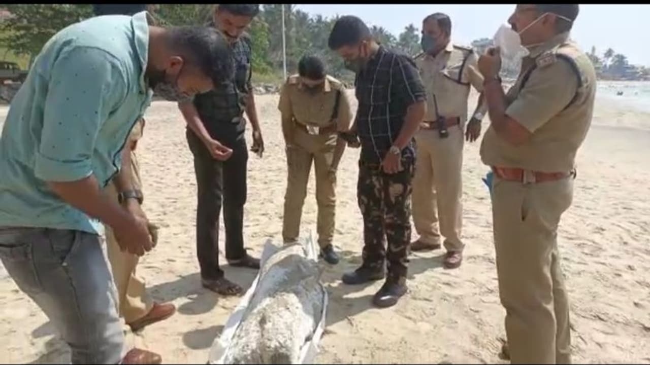 കോവളം തീരത്തെ ആംബർഗ്രീസ്; കൂടുതല് പരിശോധന ആവശ്യമാണെന്ന് അധികൃതർ കോവളം തീരത്തെ ആംബർഗ്രീസ്; കൂടുതല് പരിശോധന ആവശ്യമാണെന്ന് അധികൃതർ