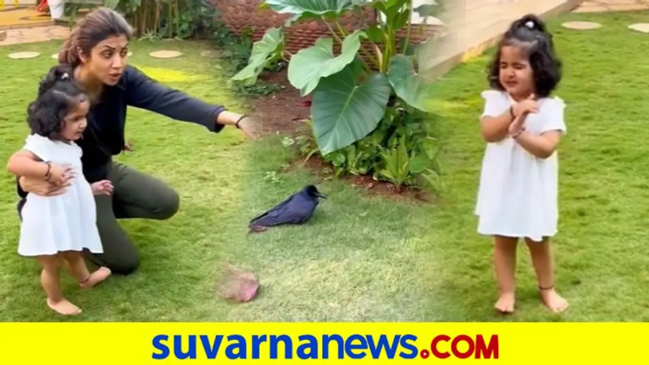 Samisha Shetty: ಗಾಯಗೊಂಡ ಹಕ್ಕಿಗಾಗಿ ಗಾಯತ್ರಿ ಮಂತ್ರ ಜಪಿಸಿದ ಶಿಲ್ಪಾ ಶೆಟ್ಟಿ ಮಗಳು Samisha Shetty: ಗಾಯಗೊಂಡ ಹಕ್ಕಿಗಾಗಿ ಗಾಯತ್ರಿ ಮಂತ್ರ ಜಪಿಸಿದ ಶಿಲ್ಪಾ ಶೆಟ್ಟಿ ಮಗಳು