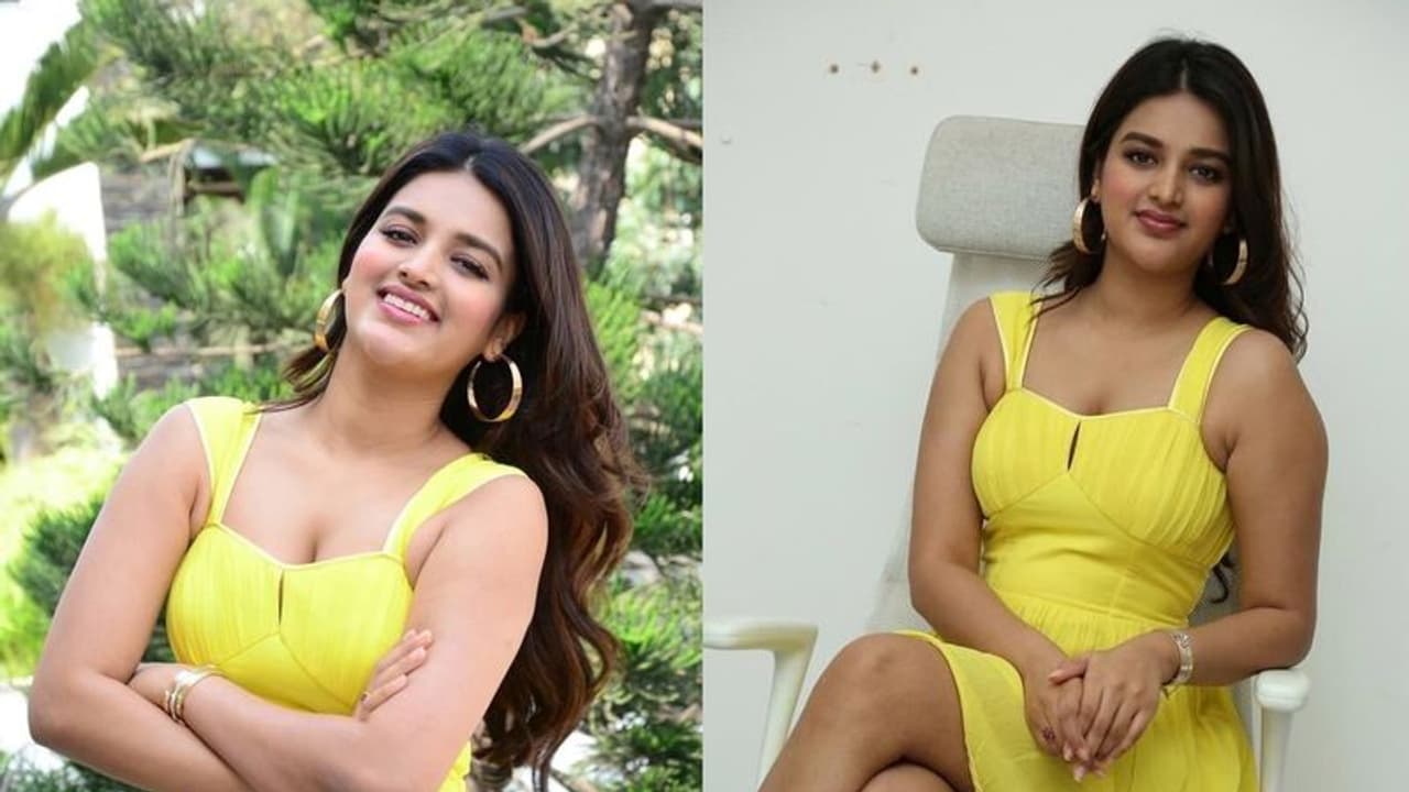 Nidhhi Agerwal: ఆ ముగ్గురు స్టార్ హీరోలపై కన్నేసిన ఇస్మార్ట్ పోరి నిధి అగర్వాల్
