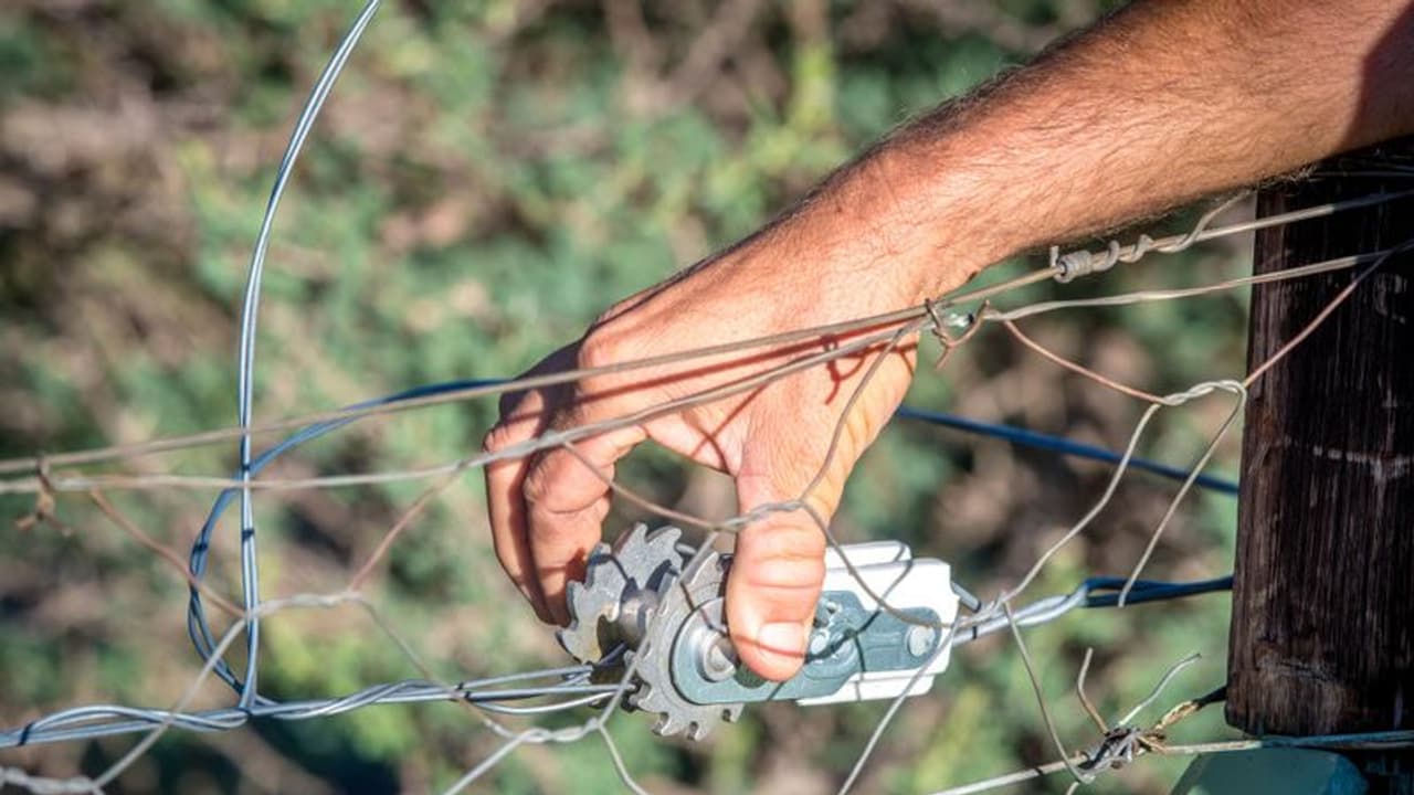 পশু পাখি ঢুকে ক্ষেতের ফসল নষ্ট করে ফেলছে, কৃষকদের চিন্তা দূর করতে সরকার নিয়ে এল তারবন্দি যোজনা পশু পাখি ঢুকে ক্ষেতের ফসল নষ্ট করে ফেলছে, কৃষকদের চিন্তা দূর করতে সরকার নিয়ে এল তারবন্দি যোজনা