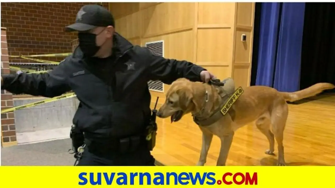 ಶಾಲೆಗಳಲ್ಲಿ ಕೋವಿಡ್‌ ಪ್ರಕರಣಗಳ ಪತ್ತೆಗೆ ಶ್ವಾನಗಳ ಬಳಕೆ