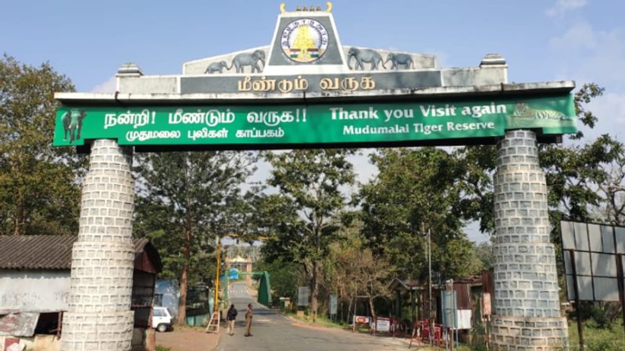 തമിഴ്നാട്ടില് മാസ്ക് ധരിക്കാത്തവര്ക്കുള്ള പിഴതുക ഉയര്ത്തി; രണ്ട് ഡോസ് വാക്സിന് നിര്ബന്ധം തമിഴ്നാട്ടില് മാസ്ക് ധരിക്കാത്തവര്ക്കുള്ള പിഴതുക ഉയര്ത്തി; രണ്ട് ഡോസ് വാക്സിന് നിര്ബന്ധം