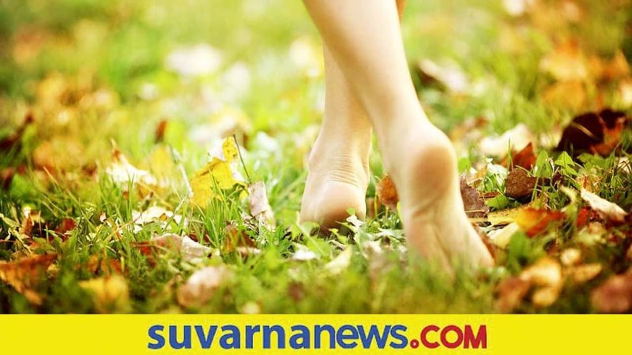 Barefoot Walk: ಬರಿಕಾಲಿನಲ್ಲಿ ನಡೆಯುವುದರಿಂದ ಬಹಳಷ್ಟು ಪ್ರಯೋಜನ Barefoot Walk: ಬರಿಕಾಲಿನಲ್ಲಿ ನಡೆಯುವುದರಿಂದ ಬಹಳಷ್ಟು ಪ್ರಯೋಜನ