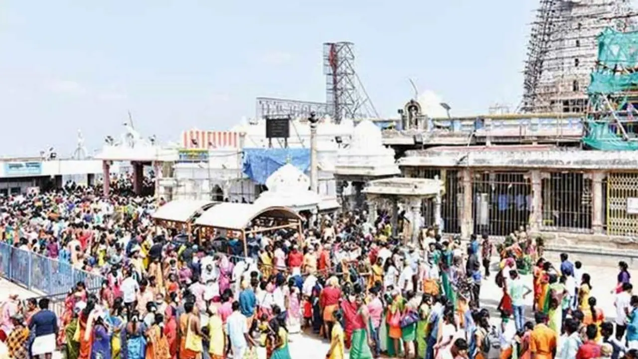 Pongal: பழனிக்கு பாதயாத்திரையாக வந்த பக்தர்கள்: 3 மணி நேரமாக காத்திருந்து சாமி தரிசனம்! Pongal: பழனிக்கு பாதயாத்திரையாக வந்த பக்தர்கள்: 3 மணி நேரமாக காத்திருந்து சாமி தரிசனம்!