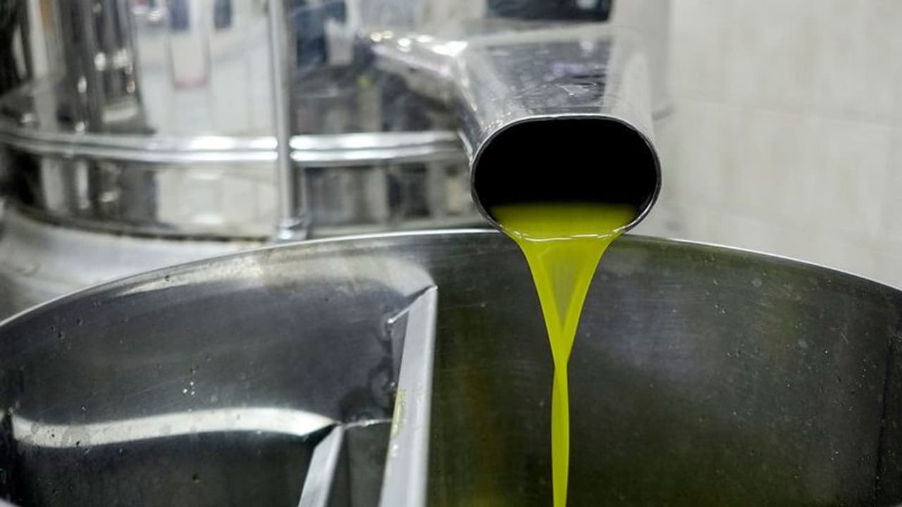 ঘরোয়া রিফাইনিং তেলের ব্যবসার ক্ষতি, কেন্দ্রের কাছে পাম তেলের আমদানির ওপর নিষেধাজ্ঞা জারির আর্জি SEA র ঘরোয়া রিফাইনিং তেলের ব্যবসার ক্ষতি, কেন্দ্রের কাছে পাম তেলের আমদানির ওপর নিষেধাজ্ঞা জারির আর্জি SEA র