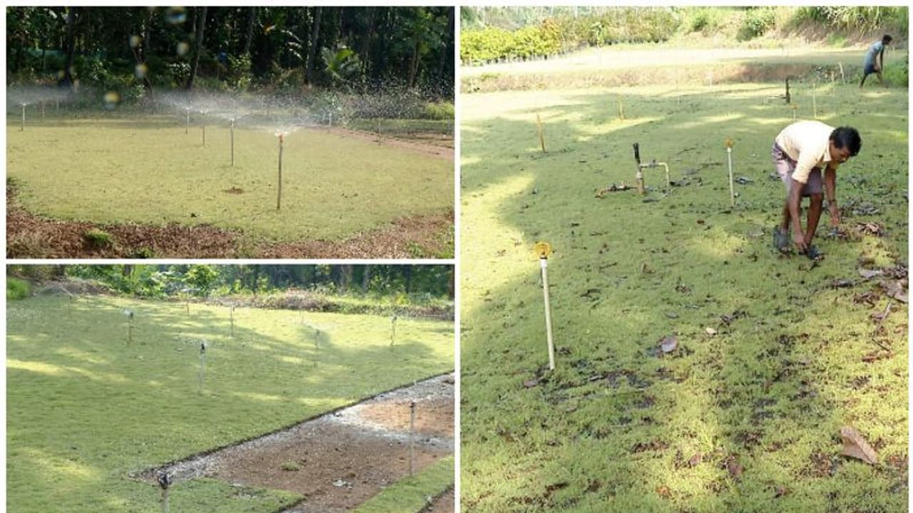 സംഭാവന നൽകാത്തതിന് സിപിഐ നേതാവിന്‍റെ പ്രതികാരം; നഴ്സറിയുടെ നടത്താന്‍ അനുവദിക്കുന്നില്ലെന്ന് പരാതി