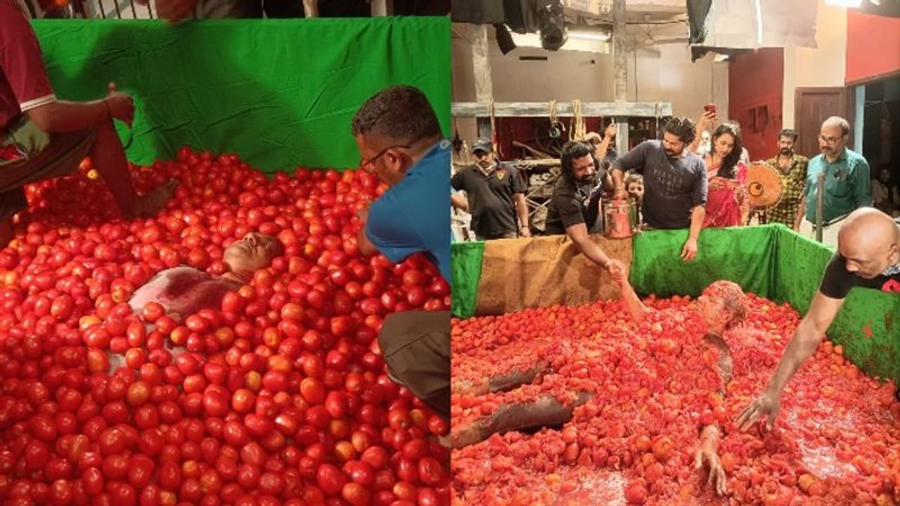 La Tomatina : ജോയ് മാത്യുവിന്റെ 'തക്കാളിക്കുളി', ചിത്രത്തിന്റെ ക്ലൈമാക്സിന് 10 ടണ്‍ തക്കാളി
