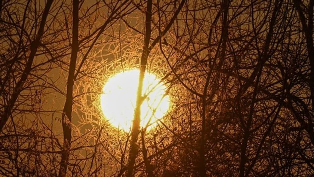 সূর্যের অবস্থানের ওপর নির্ভর করে কাজের সফলতা, দেখুন সারা দিনে কোন কাজের জন্য কোন সময়টি শুভ সূর্যের অবস্থানের ওপর নির্ভর করে কাজের সফলতা, দেখুন সারা দিনে কোন কাজের জন্য কোন সময়টি শুভ