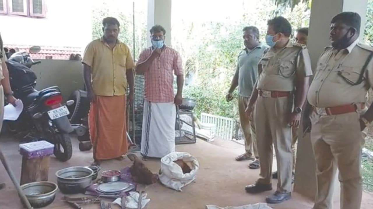 പന്നിയെ കെണിവച്ച് പിടിച്ച് കറിവെച്ചു, രണ്ട് പേര് അറസ്റ്റില് പന്നിയെ കെണിവച്ച് പിടിച്ച് കറിവെച്ചു, രണ്ട് പേര് അറസ്റ്റില്