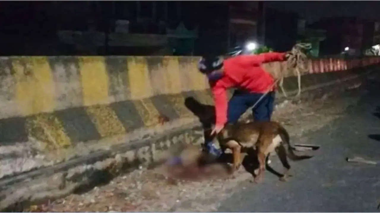 Alwar Gang Rape Case पर सियासत जारी, BJP ने कांग्रेस सरकार पर बोला हमला, पुलिस बोली दुष्कर्म की पुष्टि नहीं