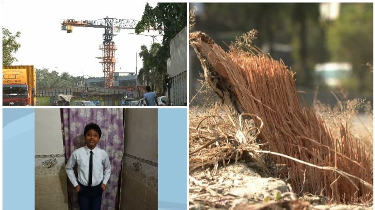 തെങ്ങ് വീണുള്ള അപകടങ്ങൾ തുടർക്കഥ; മുംബൈയിൽ മലയാളി വിദ്യാർഥിക്ക് ദാരുണാന്ത്യം തെങ്ങ് വീണുള്ള അപകടങ്ങൾ തുടർക്കഥ; മുംബൈയിൽ മലയാളി വിദ്യാർഥിക്ക് ദാരുണാന്ത്യം