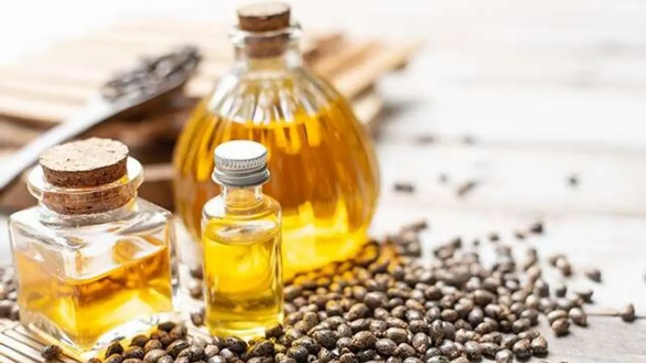 Castor oil for Hair care: അകാലനരയും താരനും അകറ്റാന്‍ ആവണക്കെണ്ണ ഇങ്ങനെ ഉപയോഗിക്കാം...