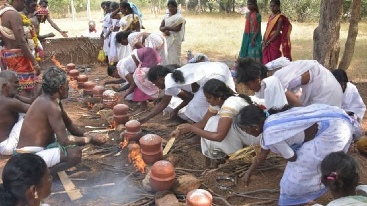 வித்தியாசமான பொங்கல்..வெள்ளை சேலைக்கட்டி பொங்கல் வைத்த பெண்கள்..விநோத வழிபாட்டின் பின்னணி.. வித்தியாசமான பொங்கல்..வெள்ளை சேலைக்கட்டி பொங்கல் வைத்த பெண்கள்..விநோத வழிபாட்டின் பின்னணி..