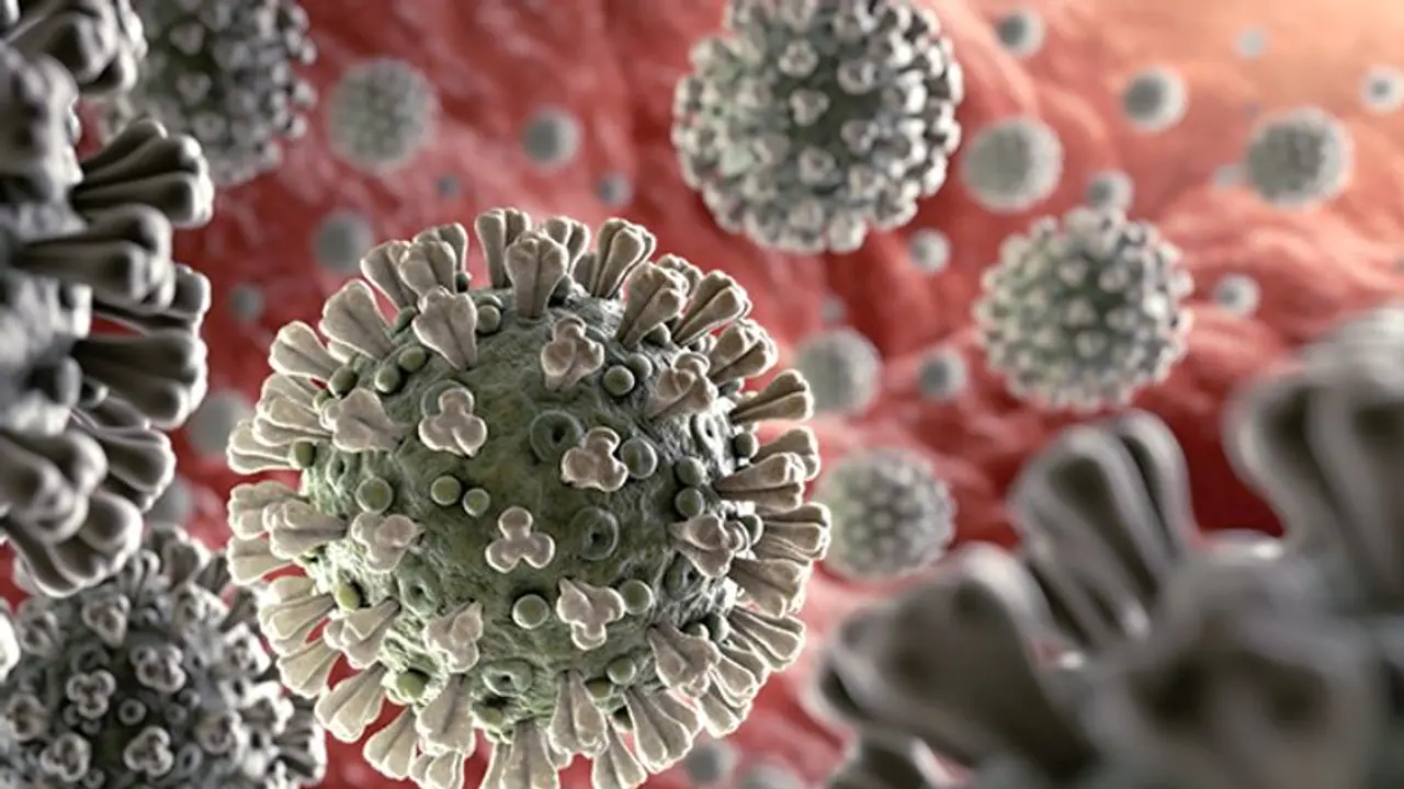 Covid 19 Crisis: ಭಾರತದಲ್ಲೀಗ ಕೋವಿಡ್ ಕೇಸ್ ಇಳಿಕೆ, ಪಾಸಿಟಿವಿಟಿ ದರ ಏರಿಕೆ Covid 19 Crisis: ಭಾರತದಲ್ಲೀಗ ಕೋವಿಡ್ ಕೇಸ್ ಇಳಿಕೆ, ಪಾಸಿಟಿವಿಟಿ ದರ ಏರಿಕೆ