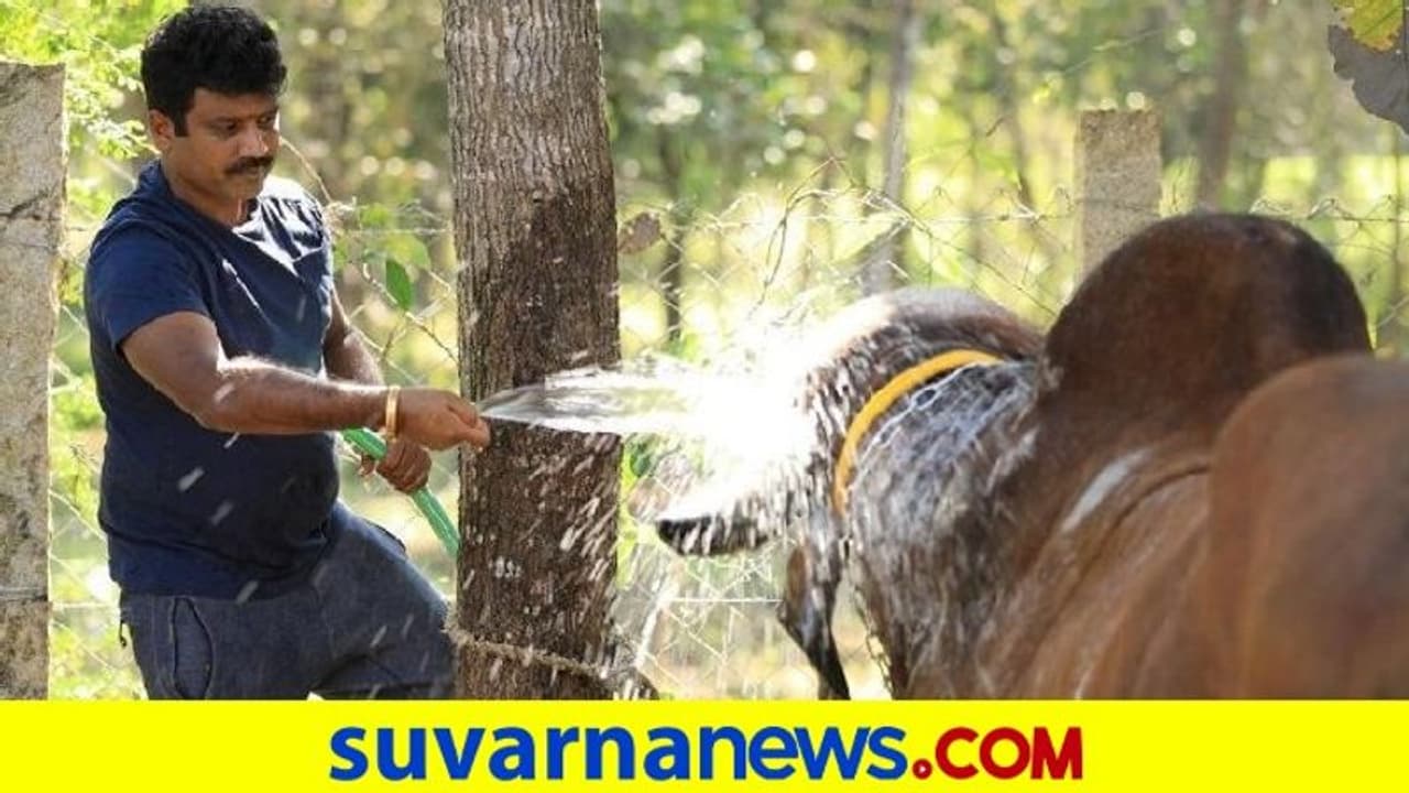 Makara Sankranti: ಅಮ್ಮನ ತೋಟದಲ್ಲಿ ಸಂಕ್ರಾಂತಿ ಆಚರಿಸಿದ ನಿರ್ದೇಶಕ ಜೋಗಿ ಪ್ರೇಮ್ Makara Sankranti: ಅಮ್ಮನ ತೋಟದಲ್ಲಿ ಸಂಕ್ರಾಂತಿ ಆಚರಿಸಿದ ನಿರ್ದೇಶಕ ಜೋಗಿ ಪ್ರೇಮ್