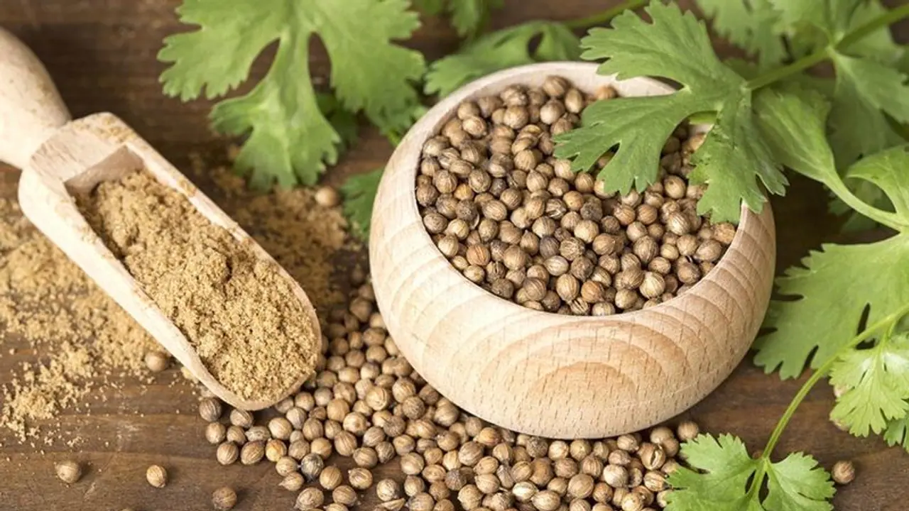 Coriander Seeds: நீரிழிவைத் தடுக்கும் கொத்தமல்லி விதைகள்: இது எப்படித் தெரியுமா?