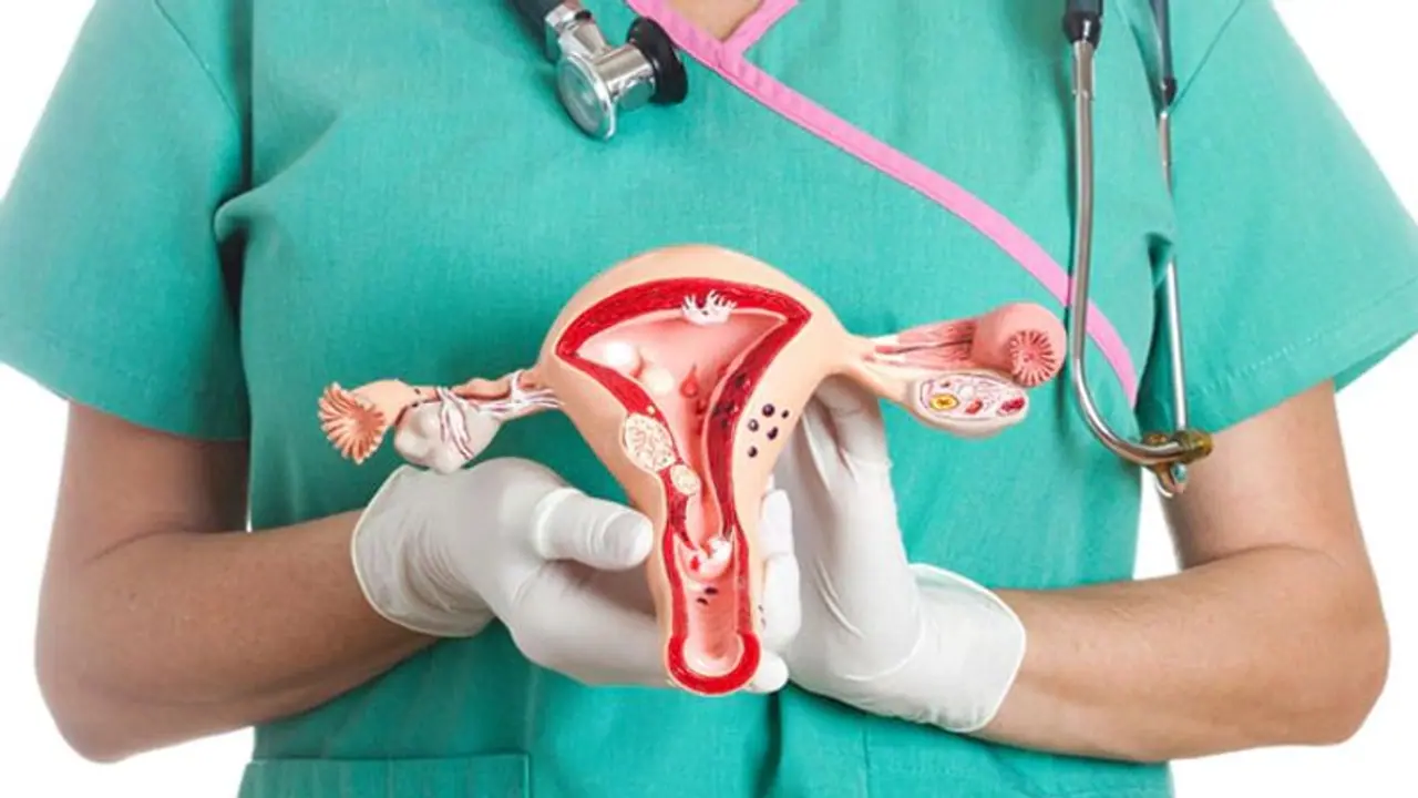 Cervical Cancer : സെര്വിക്കല് ക്യാന്സര് എങ്ങനെ തടയാം? ഇതിനെ കുറിച്ച് കൂടുതലറിയാം Cervical Cancer : സെര്വിക്കല് ക്യാന്സര് എങ്ങനെ തടയാം? ഇതിനെ കുറിച്ച് കൂടുതലറിയാം