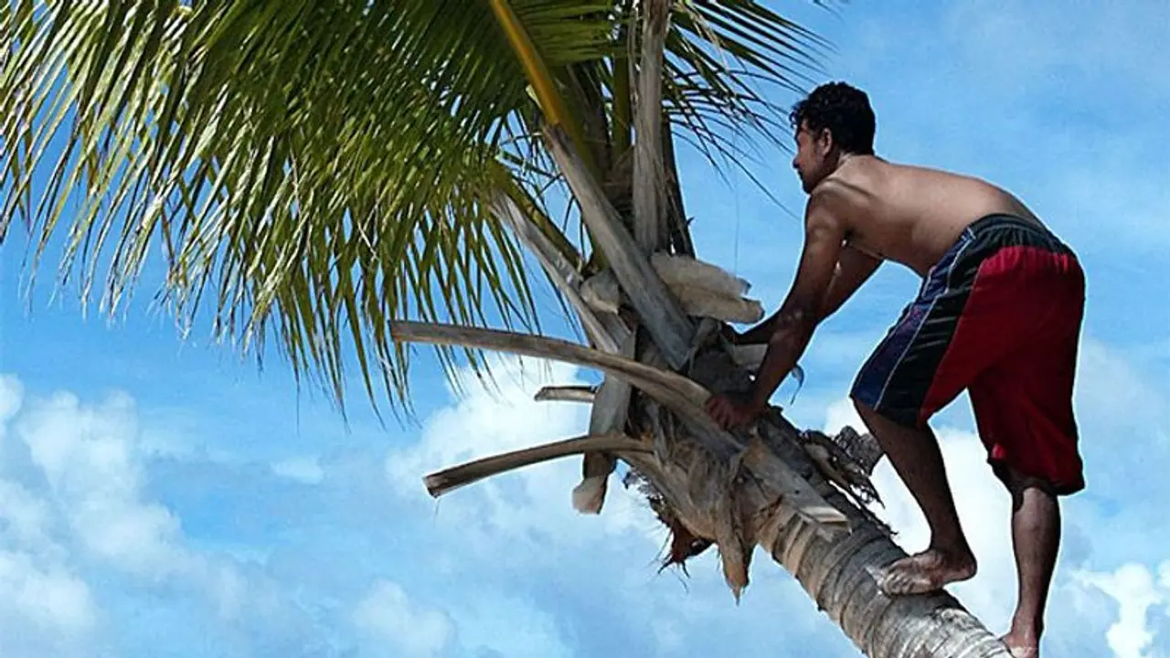 Life Management: एक वृद्ध लोगों को पेड़ पर चढ़ना सीखाता था, उसने अपने छात्रों की परीक्षा ली और बताई सबसे खास बात Life Management: एक वृद्ध लोगों को पेड़ पर चढ़ना सीखाता था, उसने अपने छात्रों की परीक्षा ली और बताई सबसे खास बात