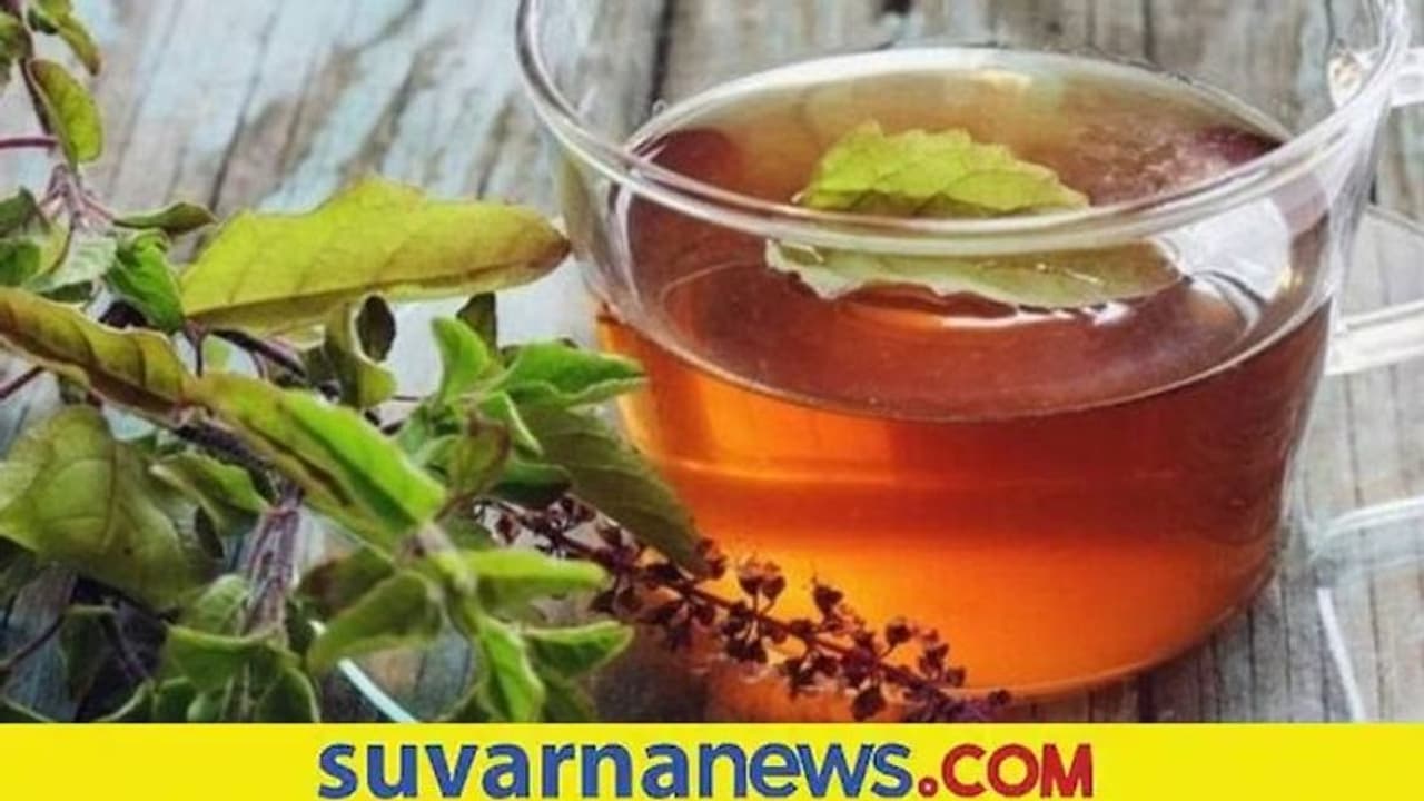 Tulsi Tea Health Benefits: ತುಳಸಿ ಚಹಾ ಕುಡಿಯುವುದರಿಂದ ಸಿಗುವ ಆರೋಗ್ಯ ಪ್ರಯೋಜನಗಳು Tulsi Tea Health Benefits: ತುಳಸಿ ಚಹಾ ಕುಡಿಯುವುದರಿಂದ ಸಿಗುವ ಆರೋಗ್ಯ ಪ್ರಯೋಜನಗಳು