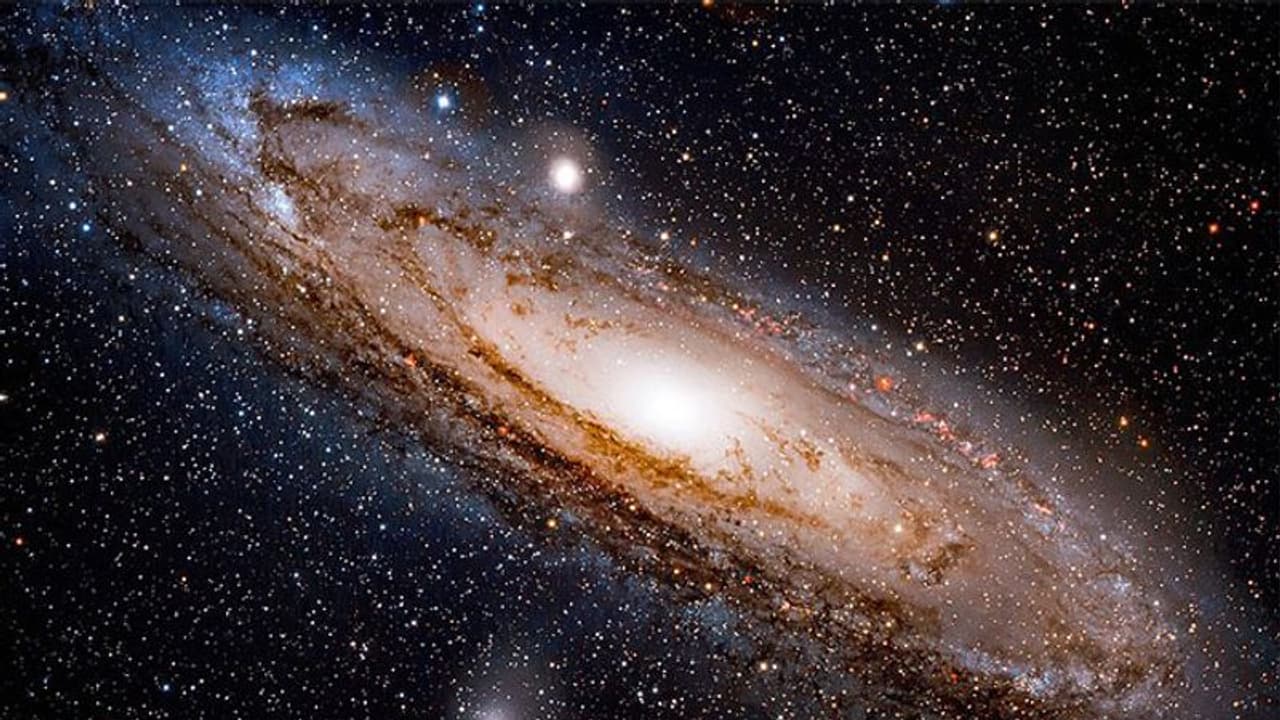 Pushya Nakshatra: साल का पहला पुष्य नक्षत्र 18 जनवरी को, जानिए 2022 में कब कब बनेगा ये शुभ योग