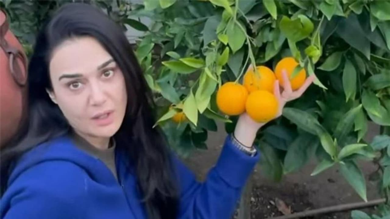 संतरे से लेकर केले तक अपनी 'घर की खेती' में ये फल सब्जियां उगा रही डिंपल गर्ल Preity Zinta, देखें वीडियो संतरे से लेकर केले तक अपनी 'घर की खेती' में ये फल सब्जियां उगा रही डिंपल गर्ल Preity Zinta, देखें वीडियो
