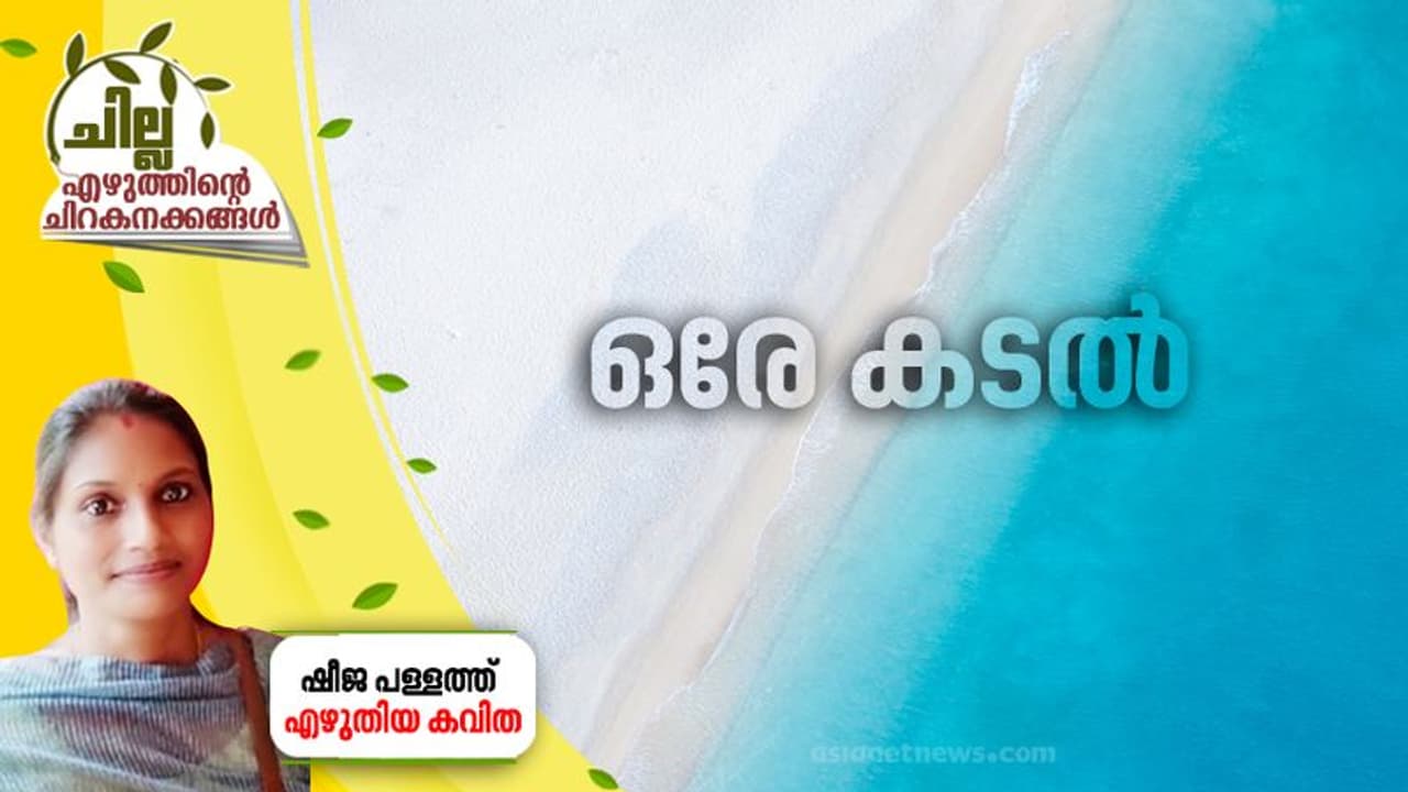 Malayalam Poem : ഒരേ കടല്, ഷീജ പള്ളത്ത് എഴുതിയ കവിത Malayalam Poem : ഒരേ കടല്, ഷീജ പള്ളത്ത് എഴുതിയ കവിത