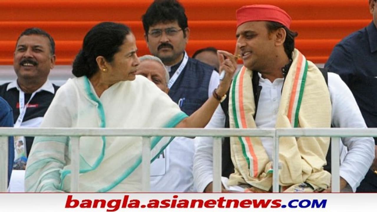 UP Elections 2022: এবার উত্তরপ্রদেশে প্রচারে মমতা, অখিলেশের সঙ্গে করবেন ভার্চুয়াল সভা