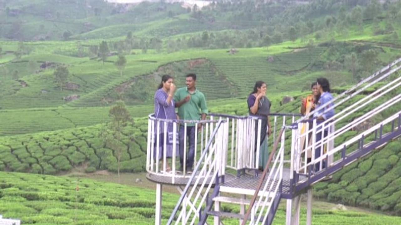 മൂന്നാർ ബോട്ടിമെട്ട് റോഡിൽ പുത്തൻ കാഴ്ചയൊരുക്കി ലോക്കാട് വ്യൂപോയിന്റ് മൂന്നാർ ബോട്ടിമെട്ട് റോഡിൽ പുത്തൻ കാഴ്ചയൊരുക്കി ലോക്കാട് വ്യൂപോയിന്റ്