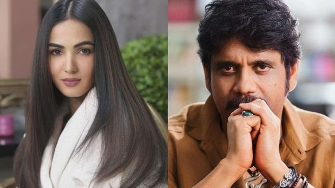 Nagarjuna New Movie: నాగార్జున కోసం బాలయ్య హీరోయిన్... కాజల్ తప్పుకోవడంతో.. Nagarjuna New Movie: నాగార్జున కోసం బాలయ్య హీరోయిన్... కాజల్ తప్పుకోవడంతో..