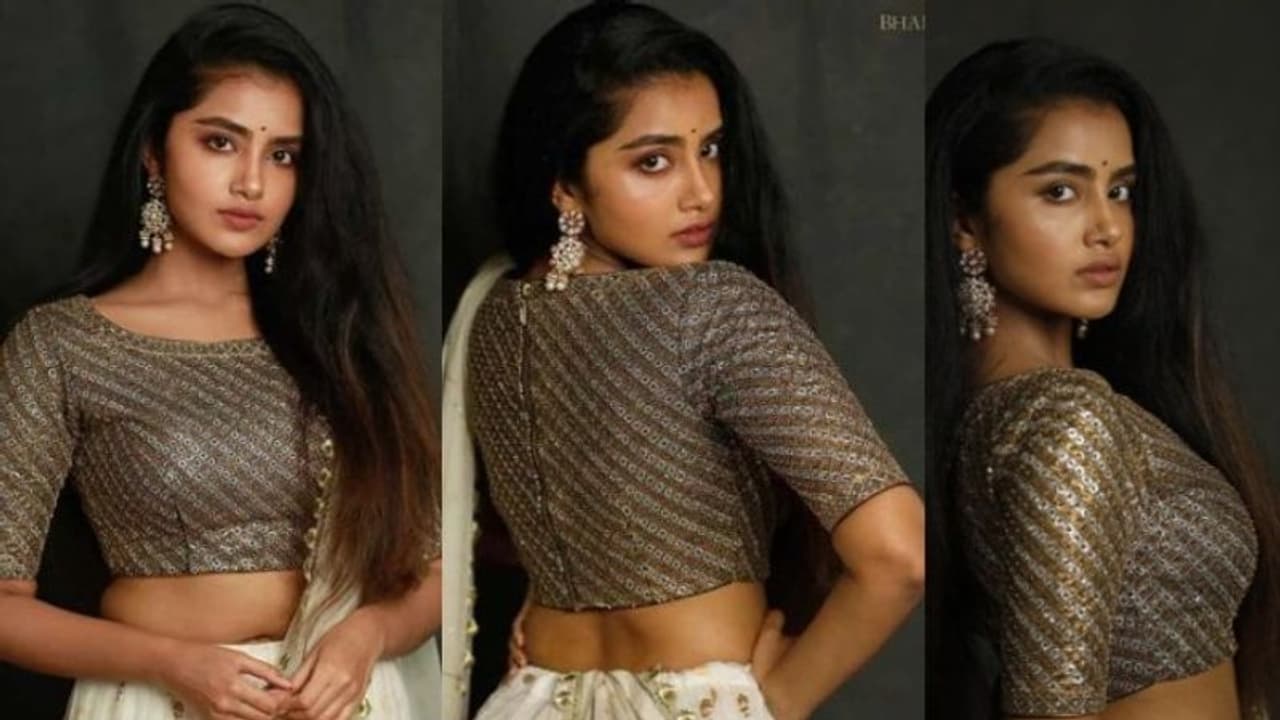 Anupama Parameswaran Photoshoot: ഗ്ലാമര്‍ ലുക്കില്‍ പുത്തന്‍ ഫോട്ടോഷൂട്ടുമായി അനുപമ പരമേശ്വരൻ; ചിത്രങ്ങൾ