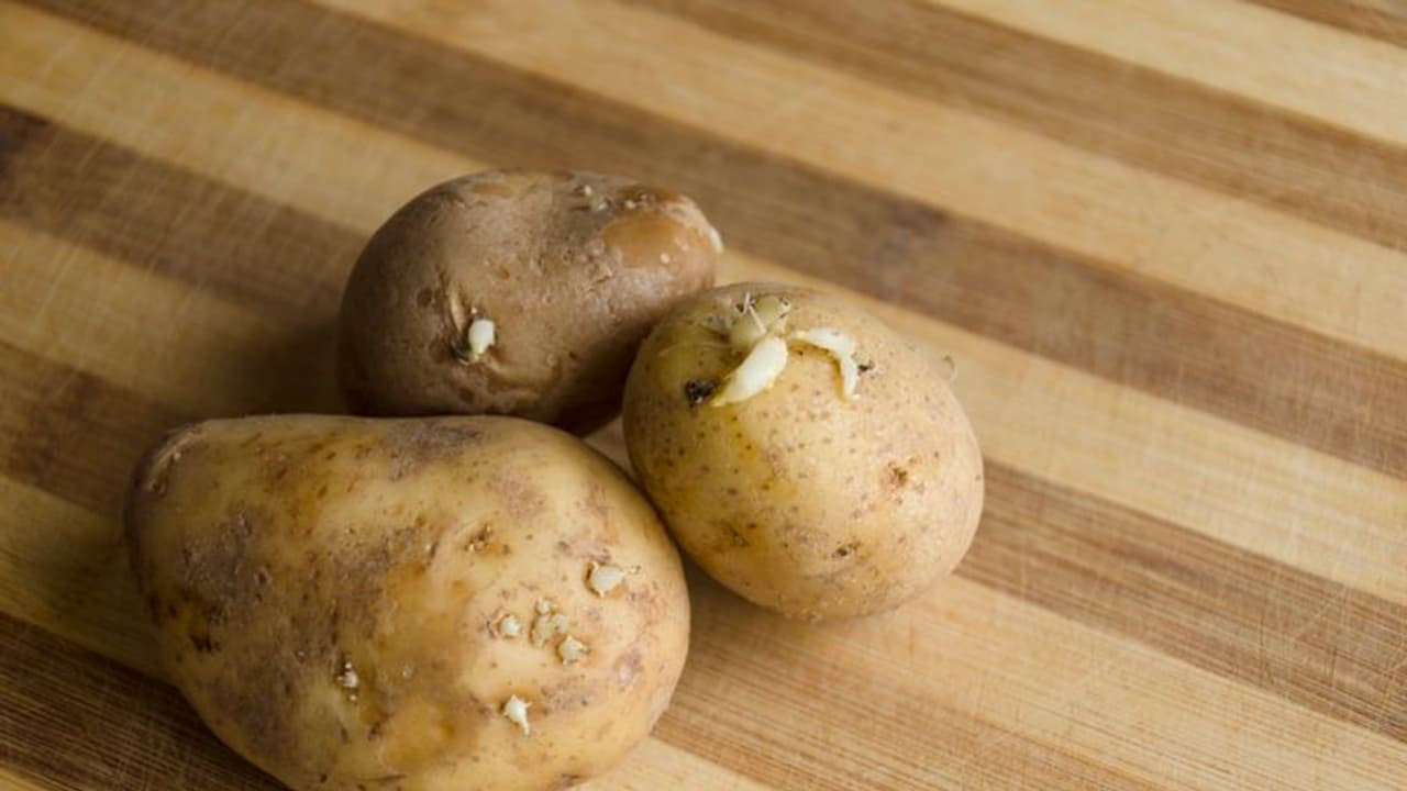 Weight Loss : ഉരുളക്കിഴങ്ങ് കഴിച്ചാൽ വണ്ണം കൂടുമോ?