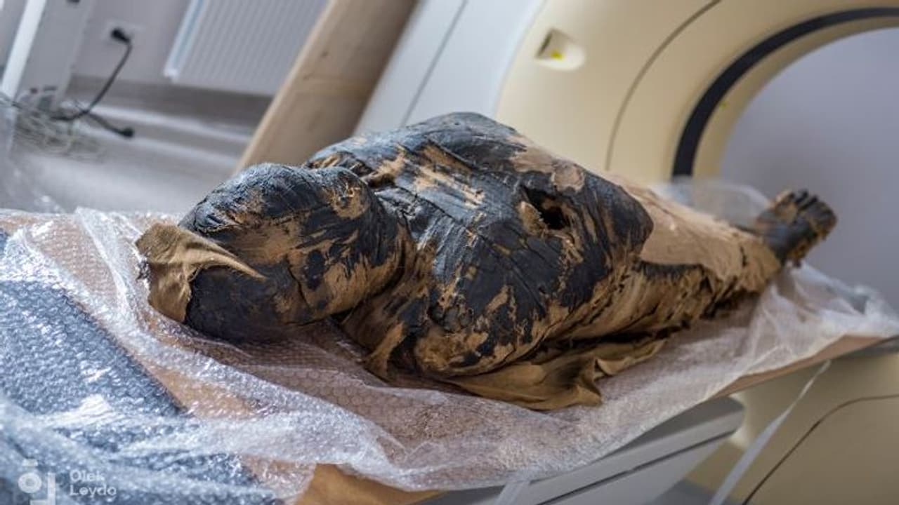मिस्र में वैज्ञानिकों को पहली बार मिली अनोखी Mummy, जिसे समझ रहे थे पुरूष, वह निकली प्रेगनेंट महिला