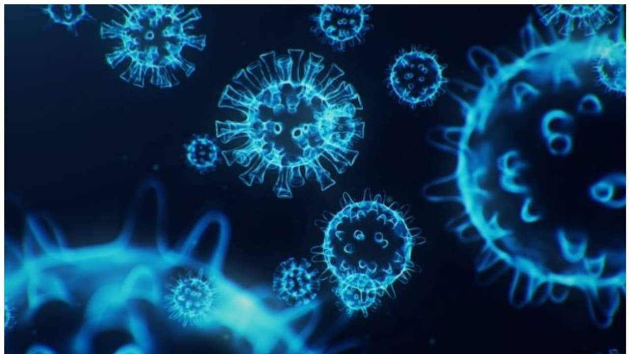 Coronavirus: ಕರ್ಫ್ಯೂ ಸಡಿಲಗೊಂಡ್ರೂ ಟಫ್ ರೂಲ್ಸ್ Coronavirus: ಕರ್ಫ್ಯೂ ಸಡಿಲಗೊಂಡ್ರೂ ಟಫ್ ರೂಲ್ಸ್