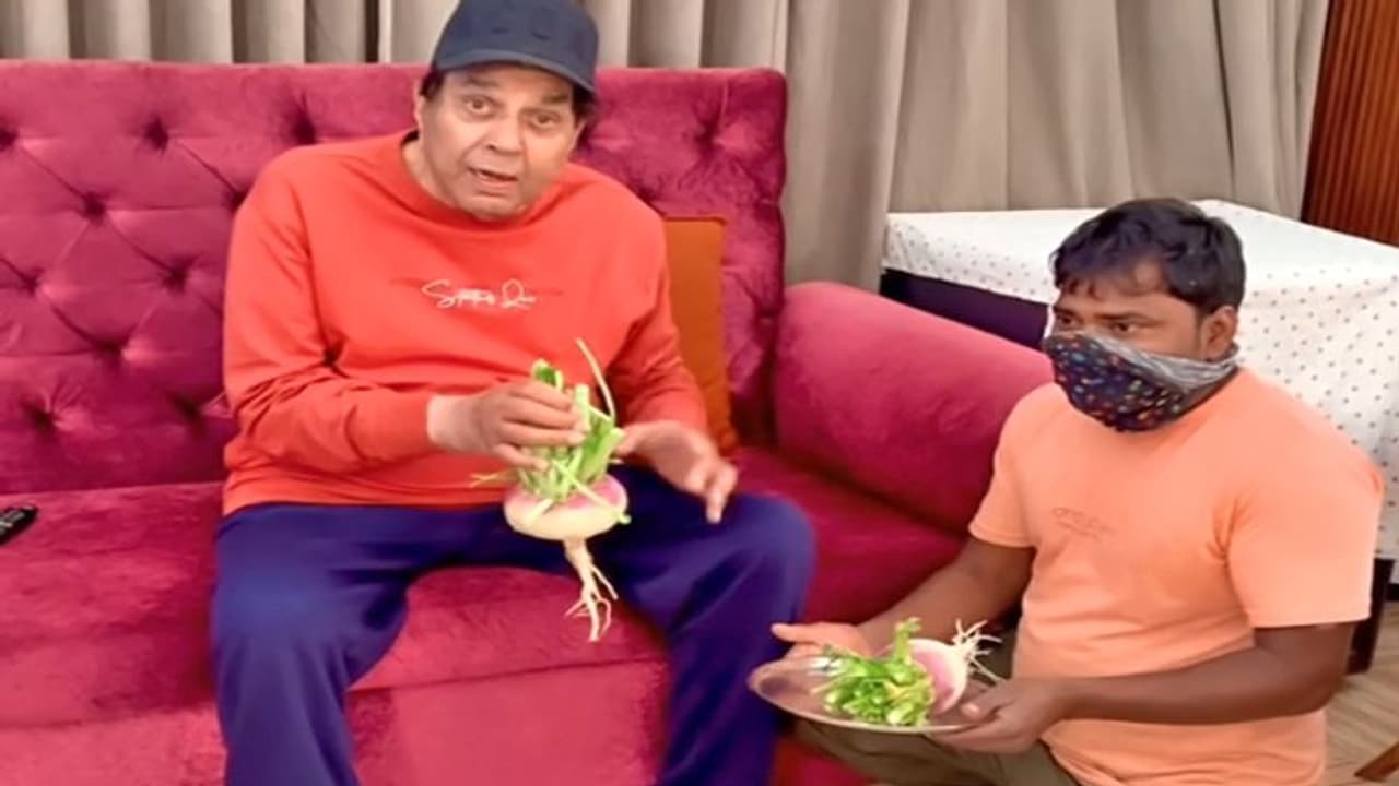 86 साल के Dharmendra ने दिखाई अपने खेत की शलजम, वीडियो देख एक शख्स ने एक्टर को दे डाली ये सलाह 86 साल के Dharmendra ने दिखाई अपने खेत की शलजम, वीडियो देख एक शख्स ने एक्टर को दे डाली ये सलाह
