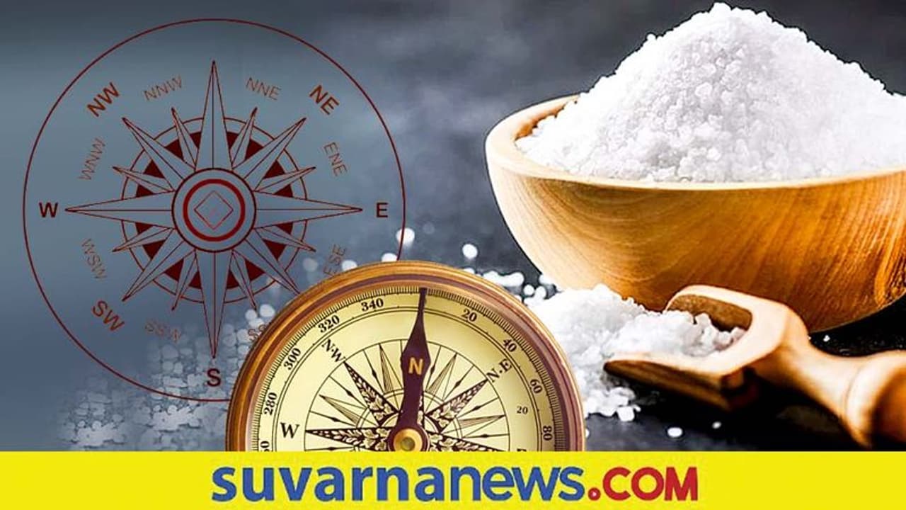 Vastu Tips: ಉಪ್ಪುನೀರಿನಿಂದ ಮನೆ ಒರೆಸಿದ್ರೆ ಋಣಾತ್ಮಕ ಶಕ್ತಿಗಳೆಲ್ಲ ಗಾಯಬ್!